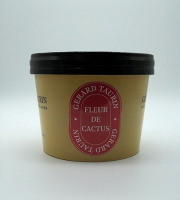 GT Designer Glacier - Sorbet Fleur de cactus 500ml