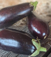 Les Jardins de Gérard - Aubergine violette Bio x 5  kg