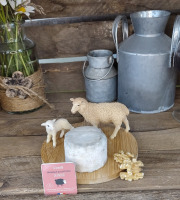 Boutique Boisette - Pur brebis affiné 80g