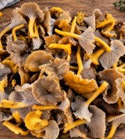 Naturélium - Chanterelle grise sauvage fraîche