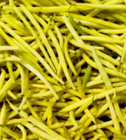 Nature et Saveurs - Ferme Aquaponique et Permacole Astérienne - Haricots beurre mangetout – douceur, croquant et éclat naturel