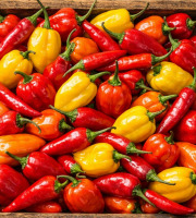 Nature et Saveurs - Ferme Aquaponique et Permacole Astérienne - Piments Frais en mélange - 50g