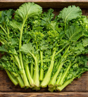 Nature et Saveurs - Ferme Aquaponique et Permacole Astérienne - Cima di Rapa – feuilles, cardes et boutons floraux