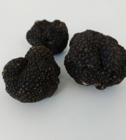 ALENA la Truffe d'Aquitaine - Truffe d'été (tuber aestivum) fraîche - 100 g