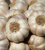 La Ferme de Goas Per - Ail bio - 6 Tête