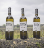 Château Jouvente - Vin de Graves blanc - Verticale de Château Jouvente