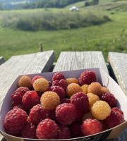 Ferme Sinsac - Framboises fraiches en barquette de 125 grs