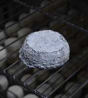 Alléosse Maitre Artisan Affineur Fromager - Selles-sur-Cher AOP au lait cru