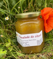 Des Poules et des Vignes à Bourgueil - Marmelade de Citron