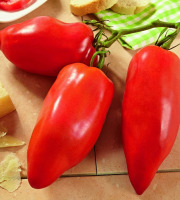 Les Champs Paradis - tomate cornue des Andes véritable 1 kg