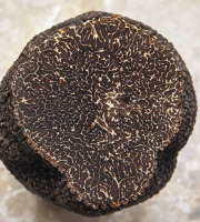 Plantin - L'art de la truffe depuis 1930 - Morceaux de truffe noire 50g