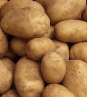 Maréchal Fraicheur - Pommes de terre Mona lisa - 5 kg