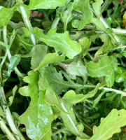 ChâteauFer - Roquette - Sachet 200g