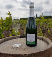 Champagne Deneufchatel - Champagne Deneufchatel Brut Tradition 1 X 75 Cl