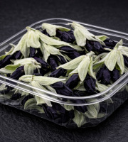 Nature et Saveurs - Ferme Aquaponique et Permacole Astérienne - Fleurs de sauge cassis – intensité végétale et contraste unique