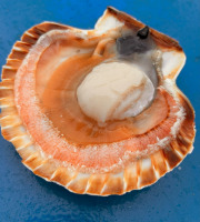 Pêcherie Granvillaise - Coquilles Saint-Jacques de Normandie 10kg