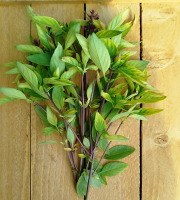 Nature et Saveurs - Ferme Aquaponique et Permacole Astérienne - Basilic thaï — Bouquet frais