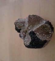 Les Vergers de la Vautée - Truffe de Bourgogne fraîche