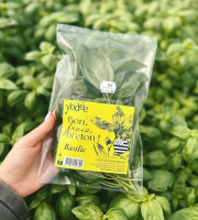 Agriloops - Basilic Breton - 30 g