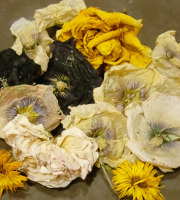 Rébecca les Jolies Fleurs - Fleurs séchées entières luxe
