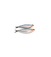 Ma poissonnière - Sardine Atlantique Entiere lot de 2kg