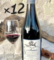 Domaine de la Chopinière du Roy - PROMO 10 % - 12 bouteilles d'Antan 2022 vin rouge Bourgueil - 12 x 75 cl