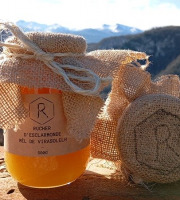 Rucher d'Esclarmonde - Miel de Virasoleh 500g