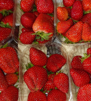 Maison du Pruneau - Cueillette du Gascon - Fraises du Lot et Garonne (variété Charlotte ou Murano) 1,5kg