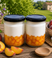 Gaec de l'Elanion - Lot de 2 Fromage Blanc Pêche
