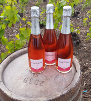 Champagne Deneufchatel - Champagne Deneufchatel Brut Rosé 3 X 75 Cl