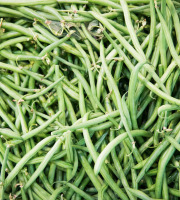 Maison Argentain - Haricots Verts - 900g