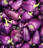 ChâteauFer - Poivron - Paprika Violet 400g