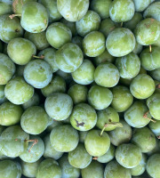 Des Poules et des Vignes à Bourgueil - Prunes Reine-Claude