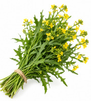 Naturélium - Roquette Sauvage