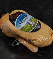 Boucherie Charcuterie Traiteur Lionel Ghérardi - Canette de Barbarie ? 1700g