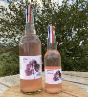 Ferme Sinsac - Pétillant de Shiso (perilla pourpre)