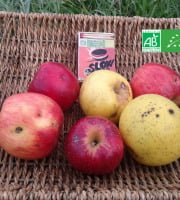 LES JARDINS DE KARINE - POMMES "visitées"-en mélange-1kg