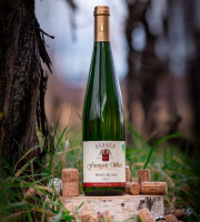 Domaine François WECK et fils - Pinot Blanc 2023- 75cl x 12