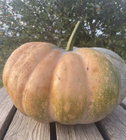 Ferme Sinsac - Courge musquée de provence en demi courge de 5kg
