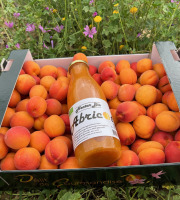 Délit de Gourmandise - Lot 3,5kg Abricots Bio et 75cl de Nectar Abricots Bio