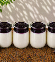 Ferme de l'Elanion - Yaourt Confiture Cassis x4