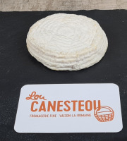 Lou Canesteou - Petit Albion brebis