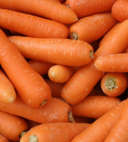 Maréchal Fraicheur - Carottes BIO - 1 kg