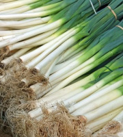La Ferme de Milly - Anjou - Poireaux 10kg