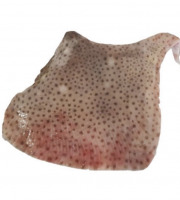 Poissonnerie La Piriacaise - Ailes de raie non pelée 3 kg