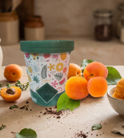 Chaloin Chocolats - Sorbet Abricot de Provence
