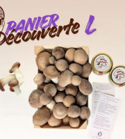 Les Myconautes - Panier Myconautes champignons bio - Taille L