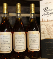 Château des Plassons - Pineau Des Charentes Château Des Plassons Très Vieille Réserve, Blanc 75cl