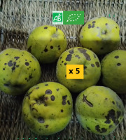 LES JARDINS DE KARINE - Coing à transformer - 5kg