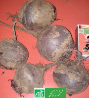 LES JARDINS DE KARINE - Betterave rouge sans feuilles - 1kg